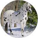 CLEMENT Ghislaine profile picture